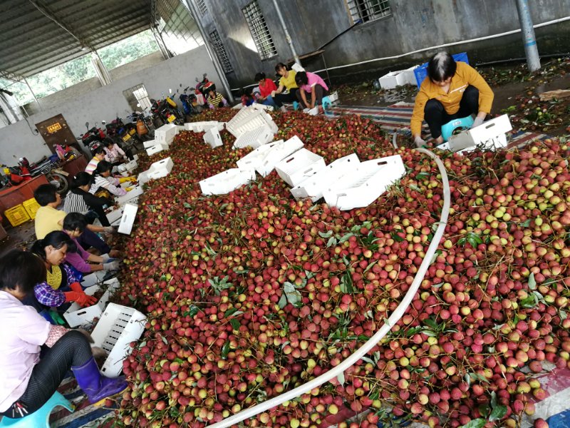 1587727908338672.jpg 微信图片_20200424192005.jpg