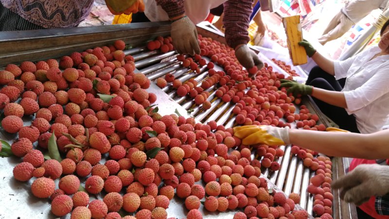 1587727933278941.jpg 微信图片_20200424192236.jpg