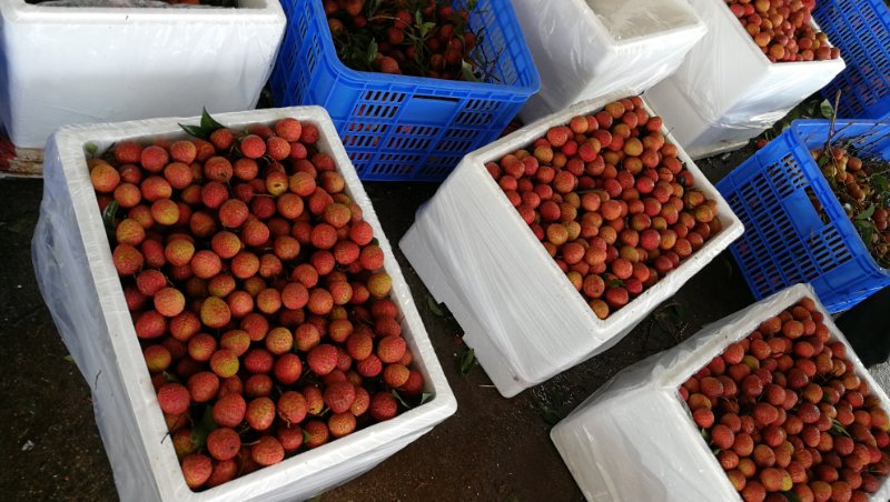 1587727948647995.jpg 微信图片_20200424192217.jpg