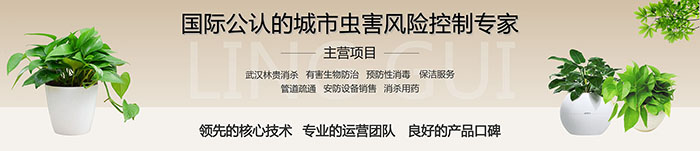 1587808470368021.png 1.png