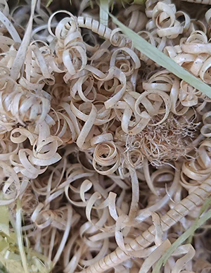 1767512351687753.jpg PEEK刨丝及边角料5.jpg