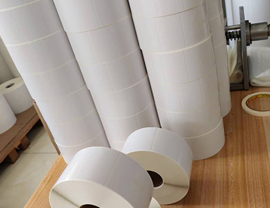 1769501750246769.jpg 3.jpg