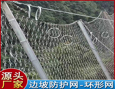 1773640542630636.jpg 5.jpg