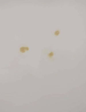 1773641903560969.jpg 3.jpg